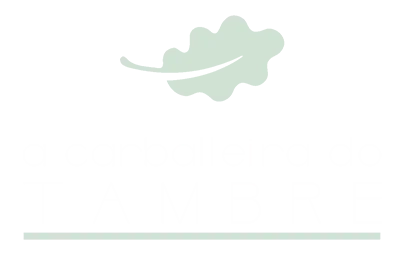 logo diapo aribeira do tambre